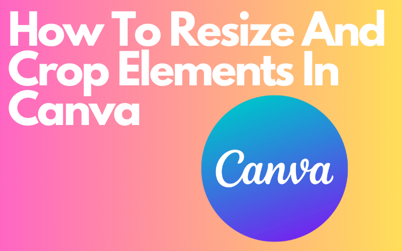Read more about the article How To Resize And Crop Elements In Canva