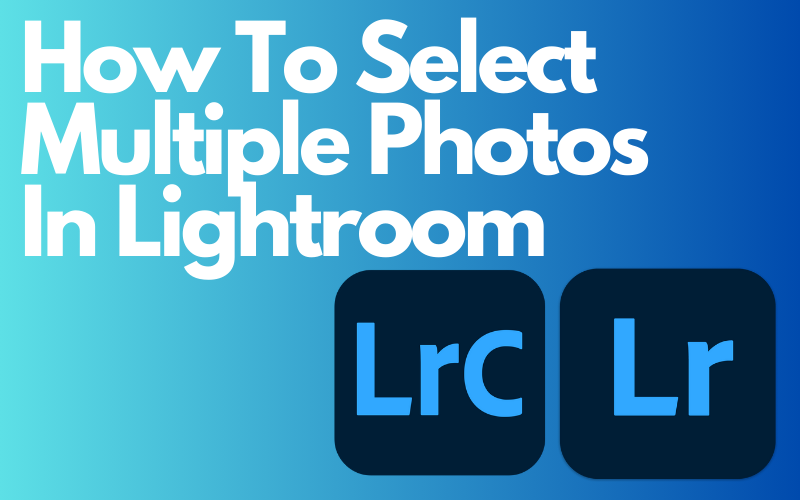 You are currently viewing How to Select Multiple Photos in Lightroom