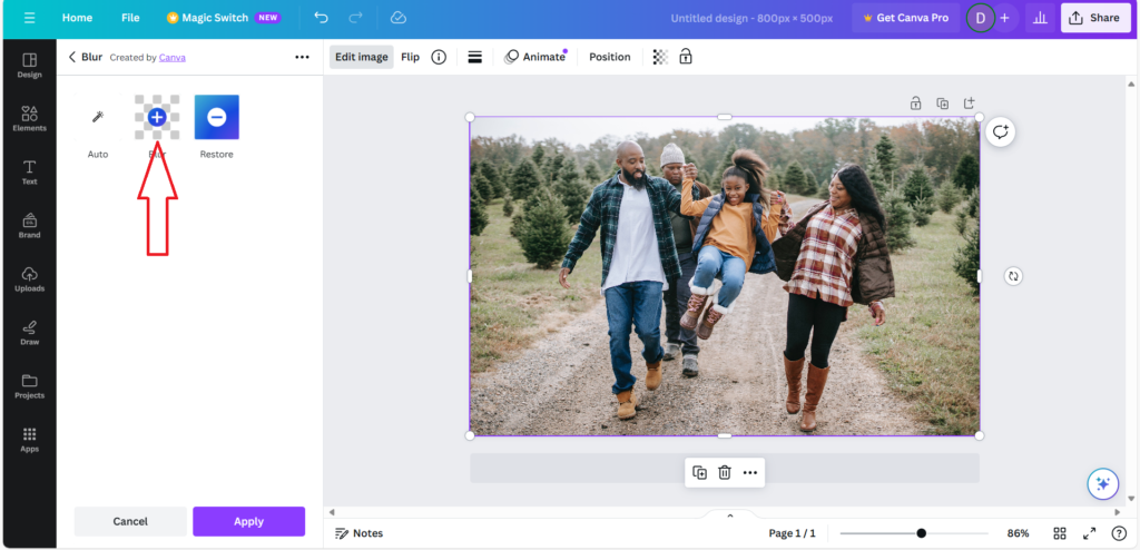 How To Blur The Face In a Photo using Canva