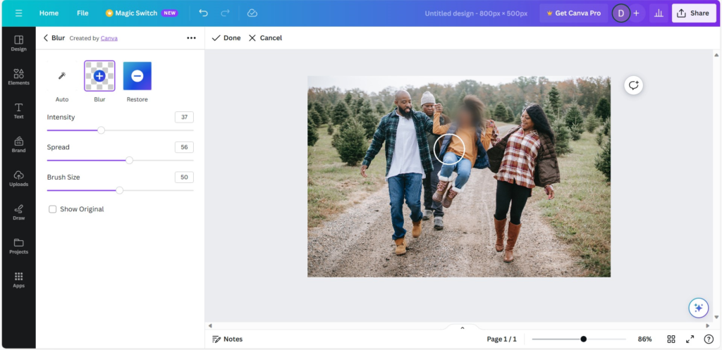 How To Blur The Face In a Photo using Canva