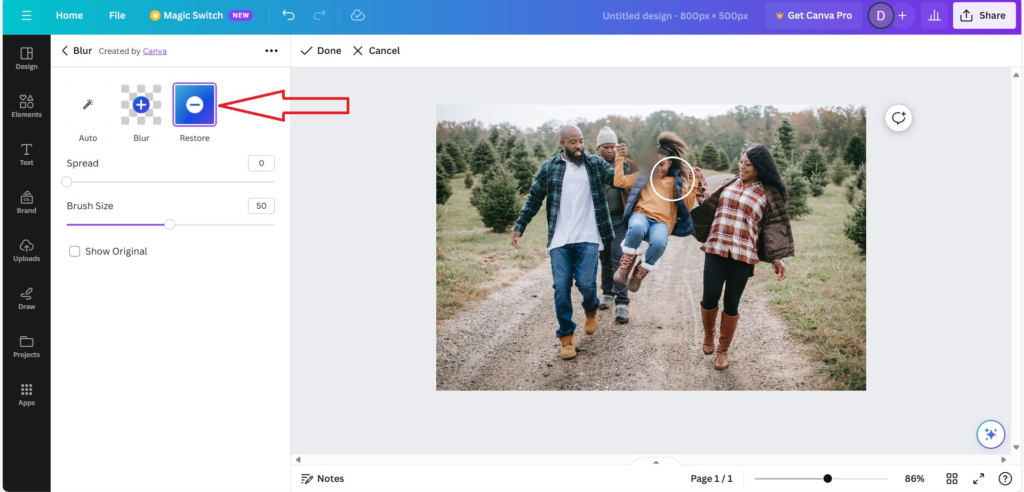 How To Blur The Face In a Photo using Canva