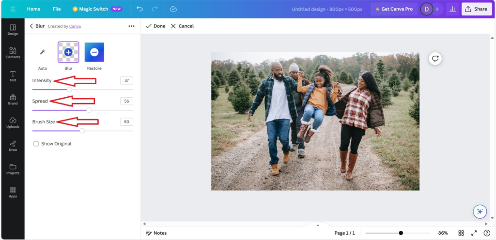 How To Blur The Face In a Photo using Canva