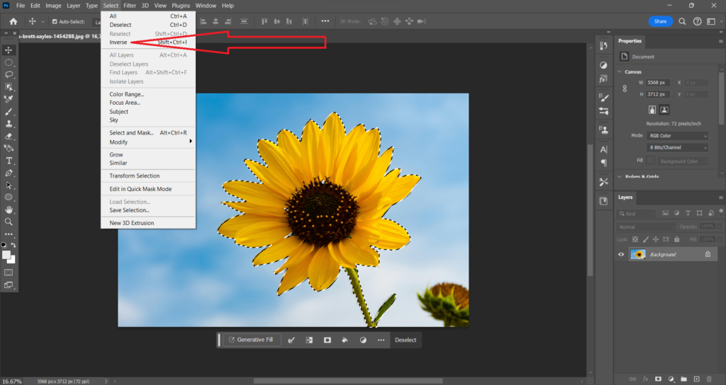 how to invert selection in photoshop
