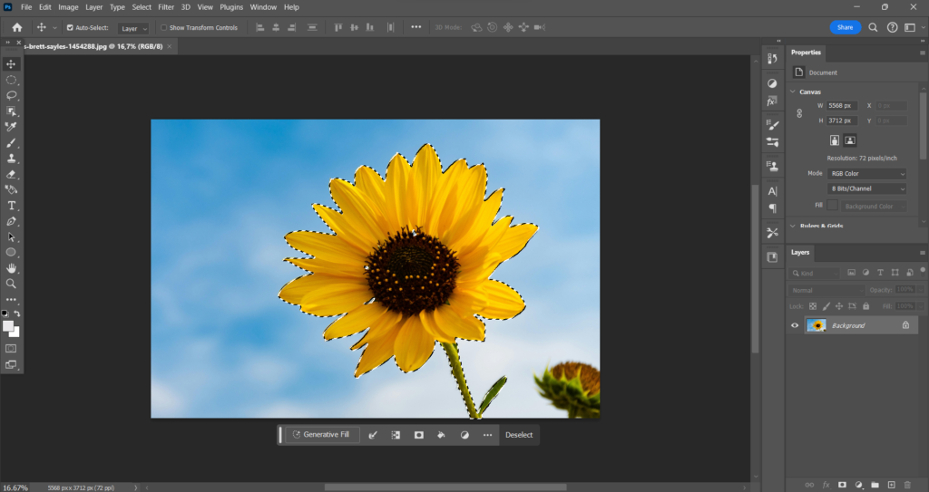 how to invert selection in photoshop