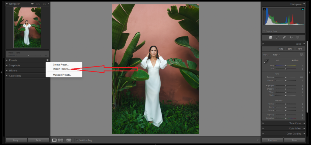 how to add presets to lightroom