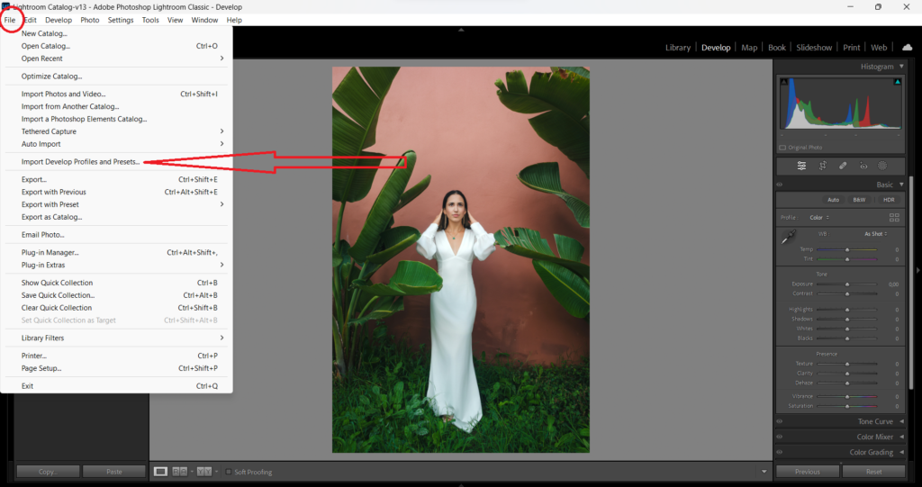 how to add presets to lightroom