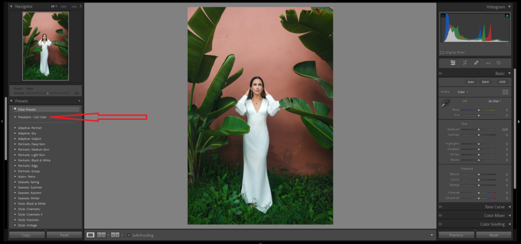 how to add presets to lightroom